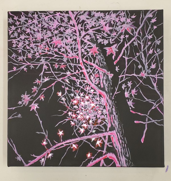 Illuminated Tree by Brian Balicki
