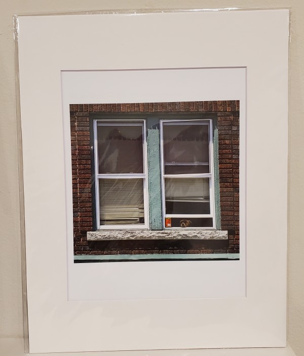 Dog in the Window by David L. Cohen
