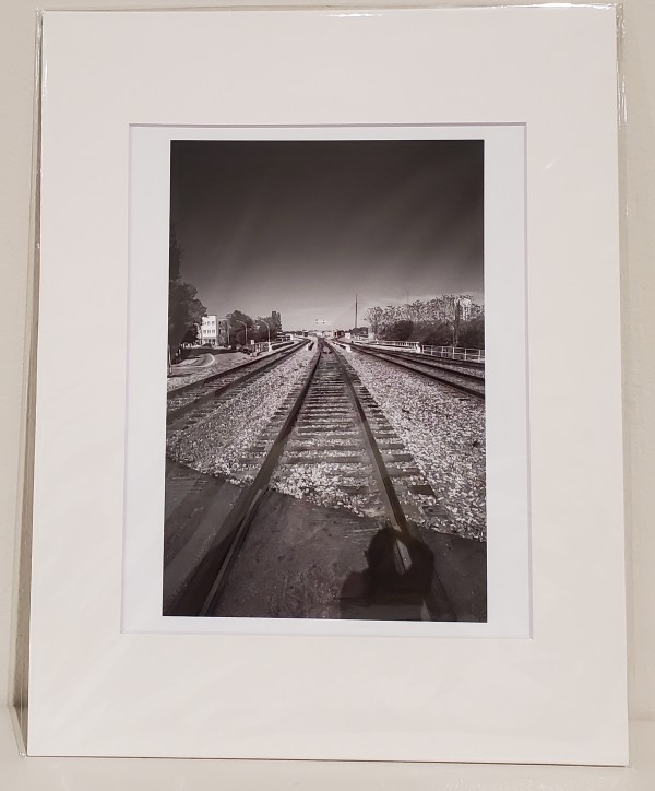 Greensboro Tracks by David L. Cohen