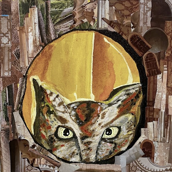 Owl by Tamra Hunt