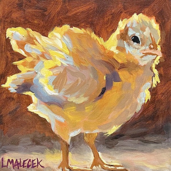Spring chick by Laura Malacek