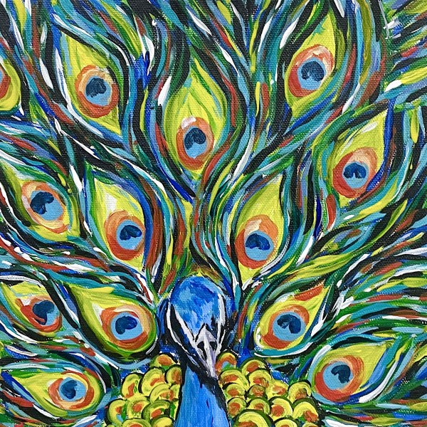 Peacock by Ashley Davis