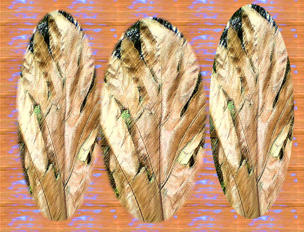 Leaves_Dry_Breadfruit_Leaves_With_Neon_jahqkq_8