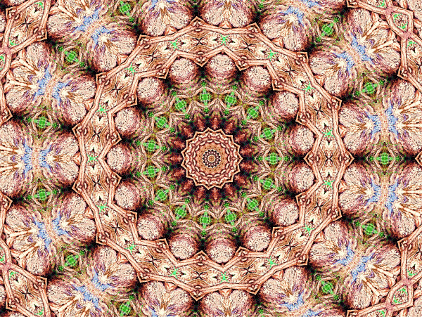 Abstracts_Shrubs_In_The_Rocks_In_Kaleidoscope _V1_nu7yqr_6