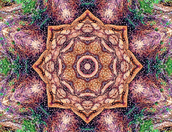 Abstracts_Shrubs_In_The_Rocks_In_Kaleidoscope_ V2_kf7o4k_5