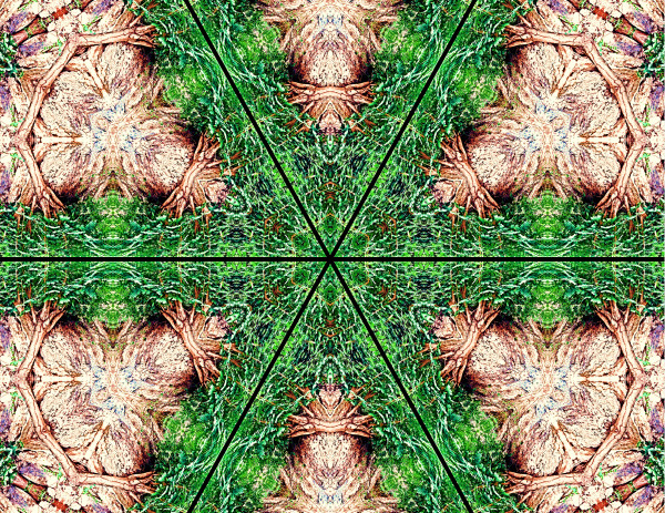 Abstracts_Shrubs_In_The_Rocks_In_Kaleidoscope_V3_sbswh1_4