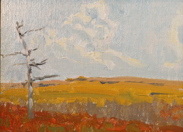 Caribou Fall study by Neil Sherman