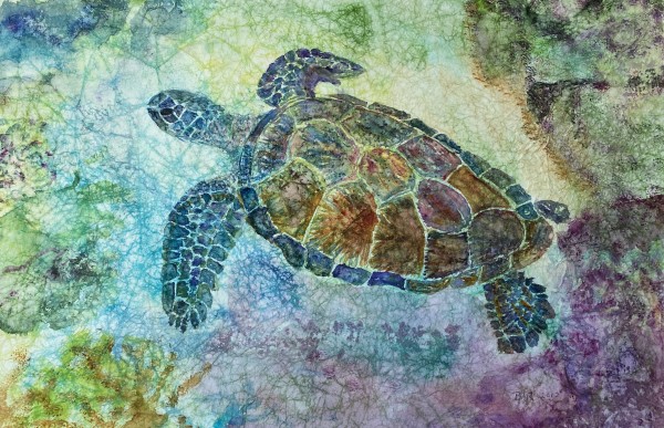 Sea Turtle in  Calming Water
