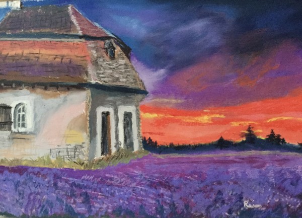 Field of Lavender by Kathryn Reis