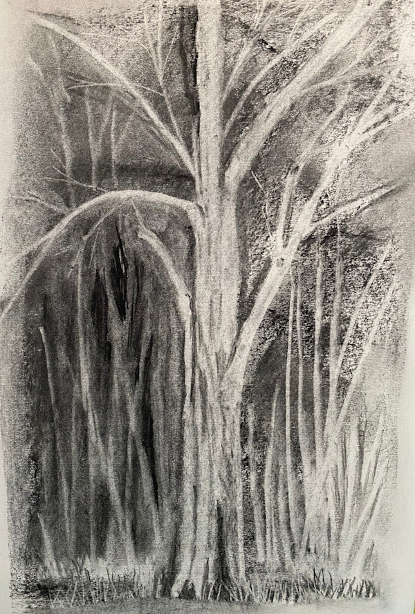 A Tree In the Glade by Kathryn Reis