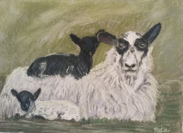 Black Lamb by Kathryn Reis