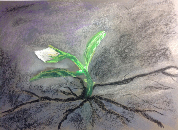 Breaking Thru by Kathryn Reis