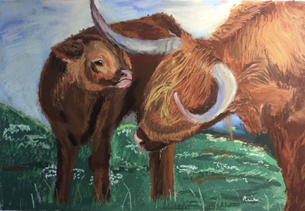 Highland Cow by Kathryn Reis