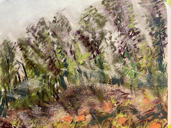 Mist in the Mountains by Kathryn Reis