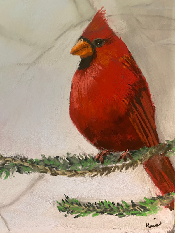 Cardinal by Kathryn Reis