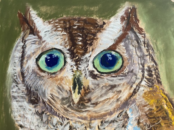 Owl by Kathryn Reis