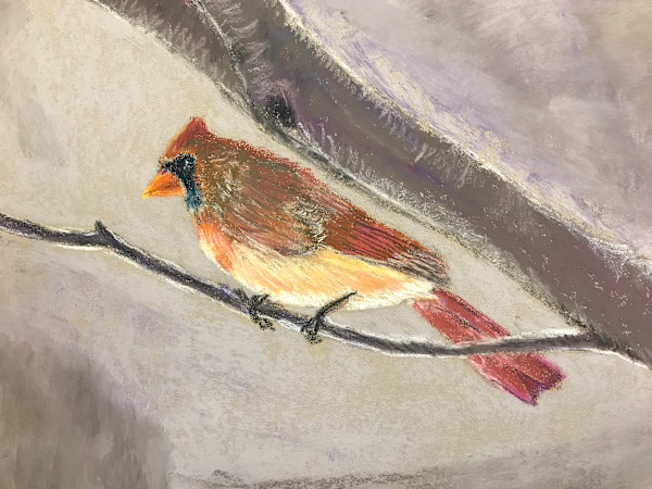 Madam Cardinal by Kathryn Reis