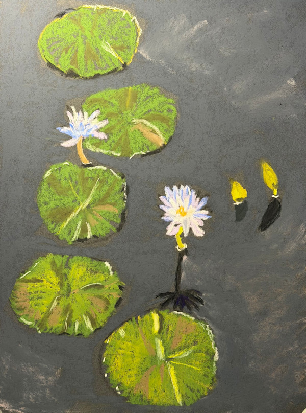 Lily Pond by Kathryn Reis