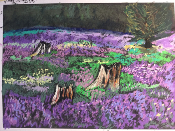 Purple Fields by Kathryn Reis