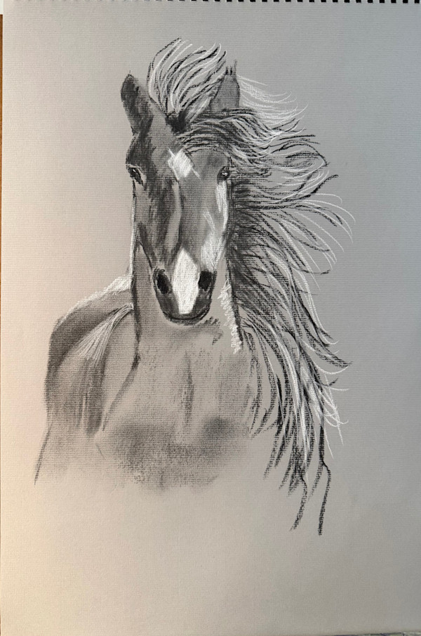 Wild and Free by Kathryn Reis, Image 1.