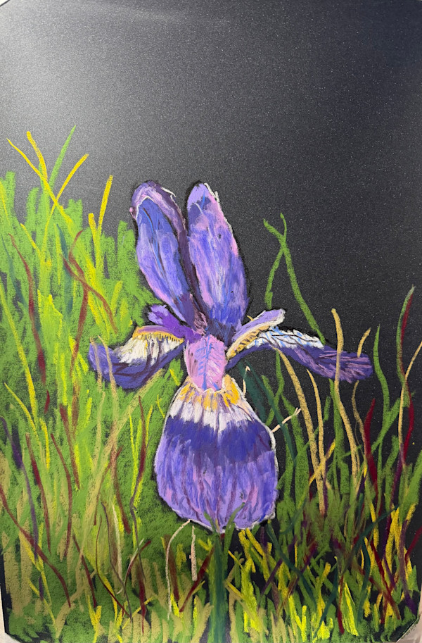 Blue Iris by Kathryn Reis, Image 1.