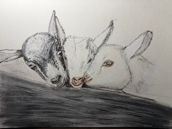 Little Lambs by Kathryn Reis, Image 1.