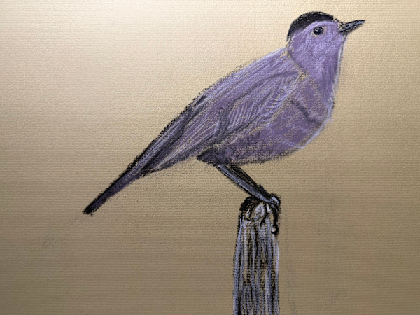 Cat Bird by Kathryn Reis, Image 1.