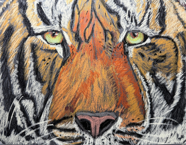 Burning Bright by Kathryn Reis, Image 1.