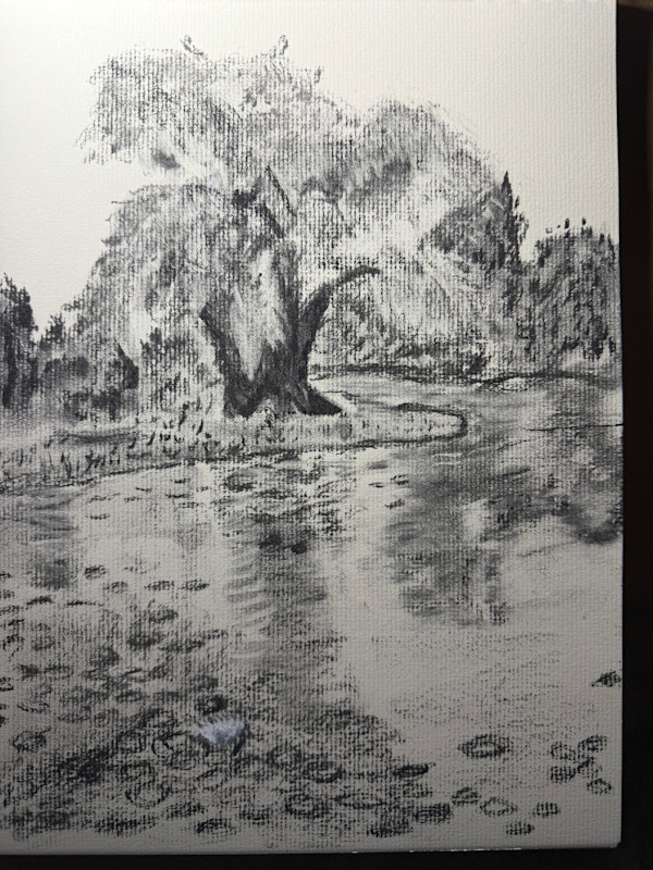 Willow in charcoal by Kathryn Reis, Image 1.