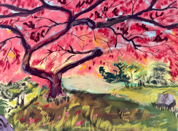 Another Japanese Maple by Kathryn Reis, Image 1.