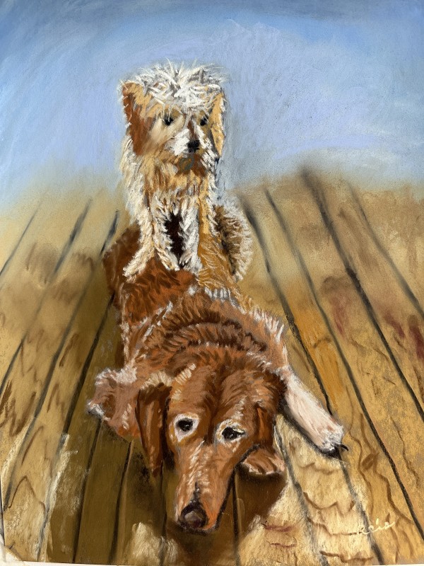 Silly Dogs by Kathryn Reis