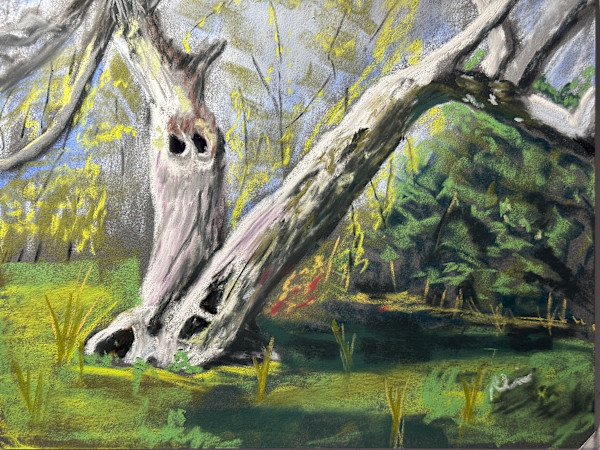 Old Tree in Pastel by Kathryn Reis