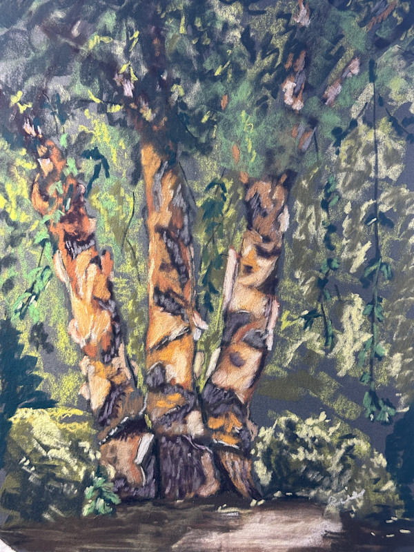 River Birch in Pastel by Kathryn Reis