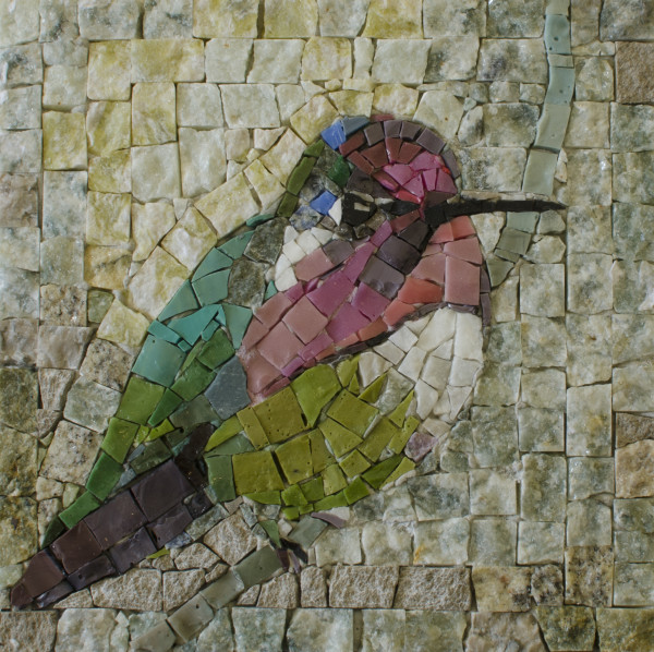 Bird by Vojna Bastovanovic Casteel