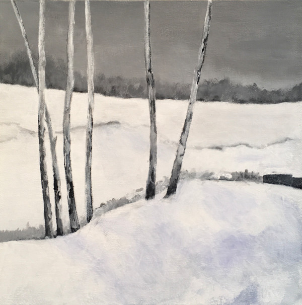 Silver Creek by Cindy Mason
