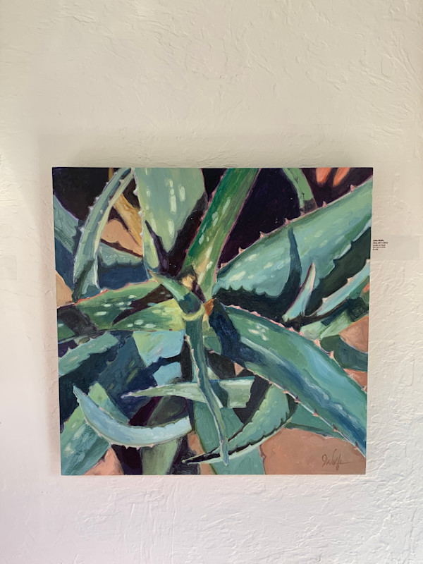 Aloe by John Wolfe