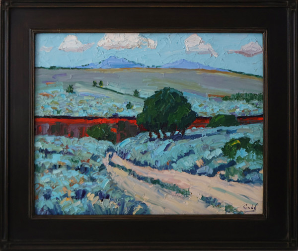 Taos Ditch by James Cobb