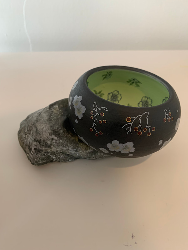 Pot on a Rock - Midnight Garden by Roger Runge