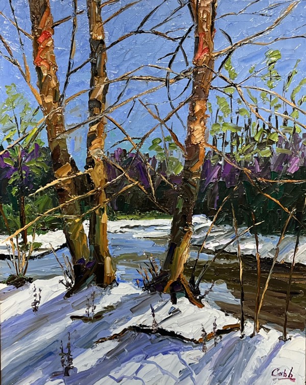 River Birch by James Cobb