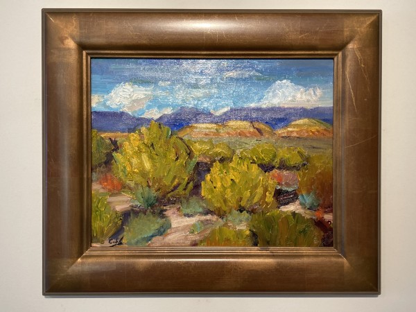 New Mexico Fall by James Cobb