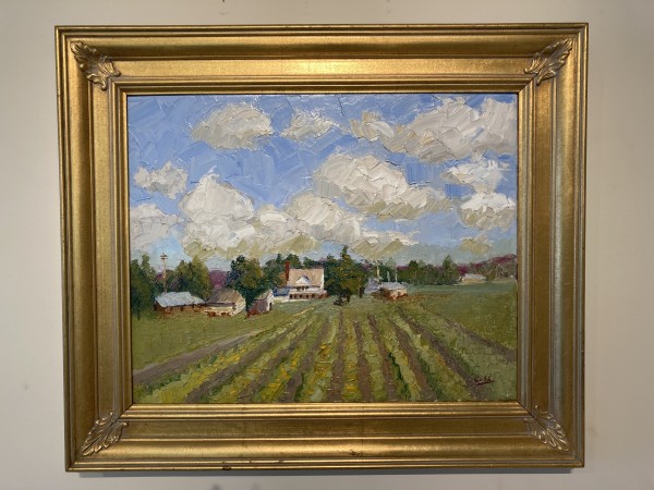 Susan's Farm by James Cobb