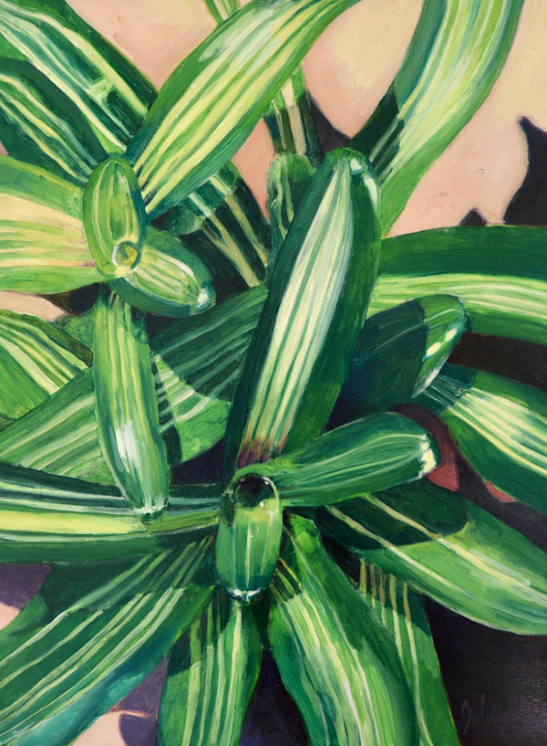 Bromeliad #2 by John Wolfe, Image 1.
