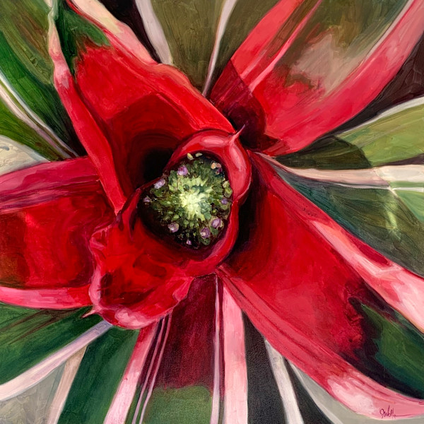 Bromeliad #3 by John Wolfe, Image 1.
