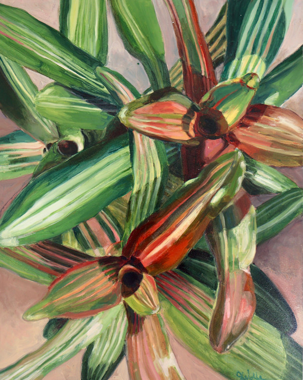 Bromeliad #4 by John Wolfe, Image 1.
