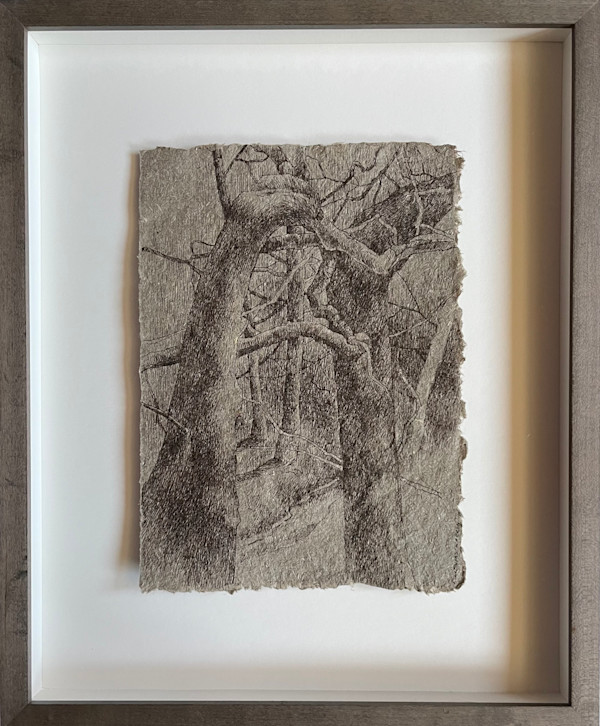 Dance of Winter by Katherine Liontas-Warren