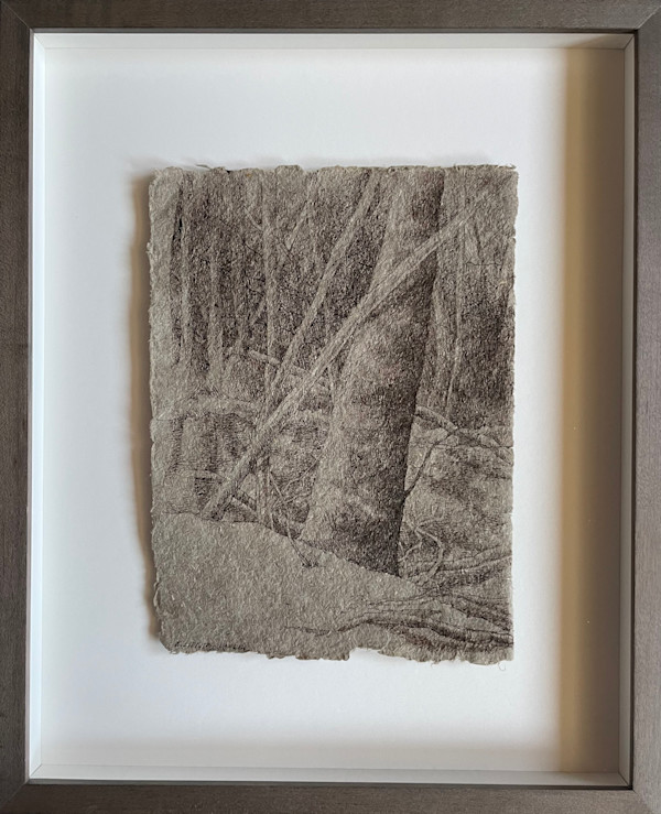 Mondo Pond: A Walk Through the Woods by Katherine Liontas-Warren