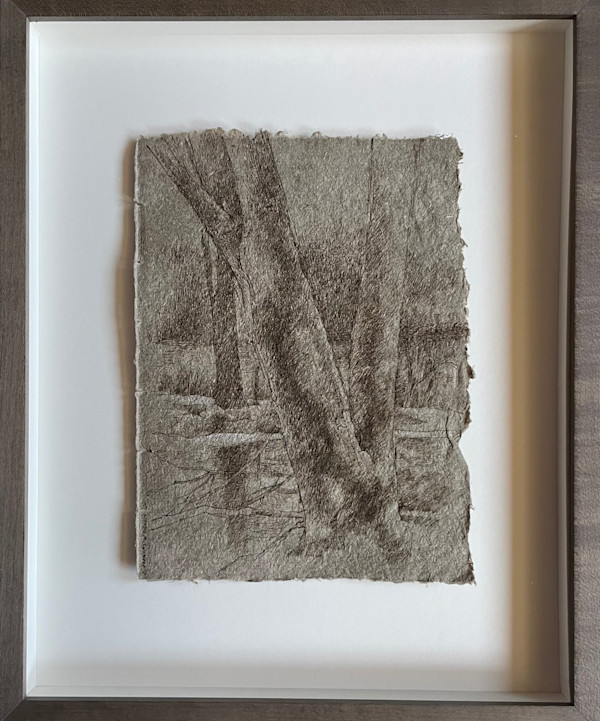 Mondo Pond: Winter Landscape by Katherine Liontas-Warren