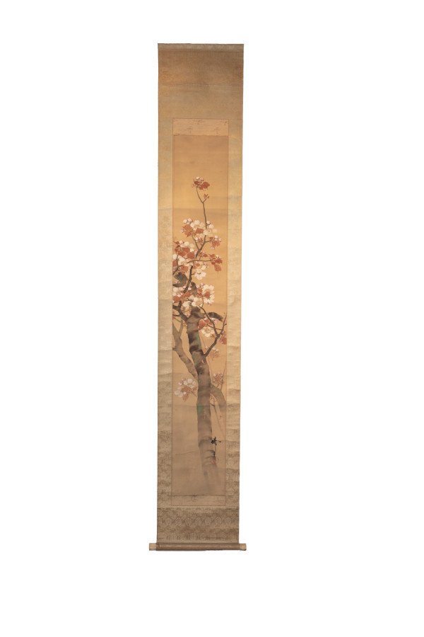 Japanese Antique Scroll– Dogwood Tree by Unknown
