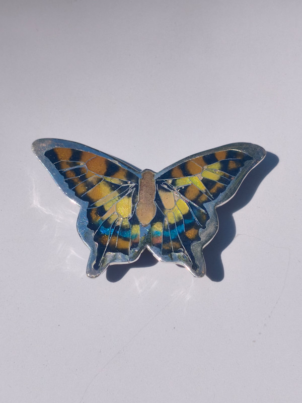 Butterfly by Sheridan Conrad