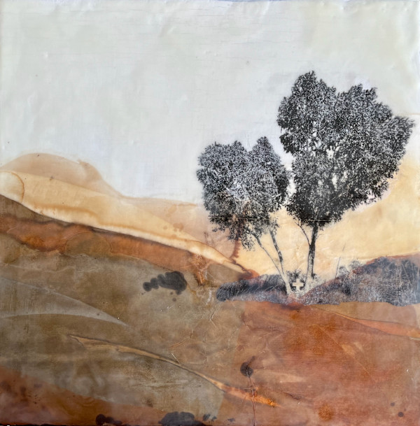 A Drover's Rest by Tracey Hewitt